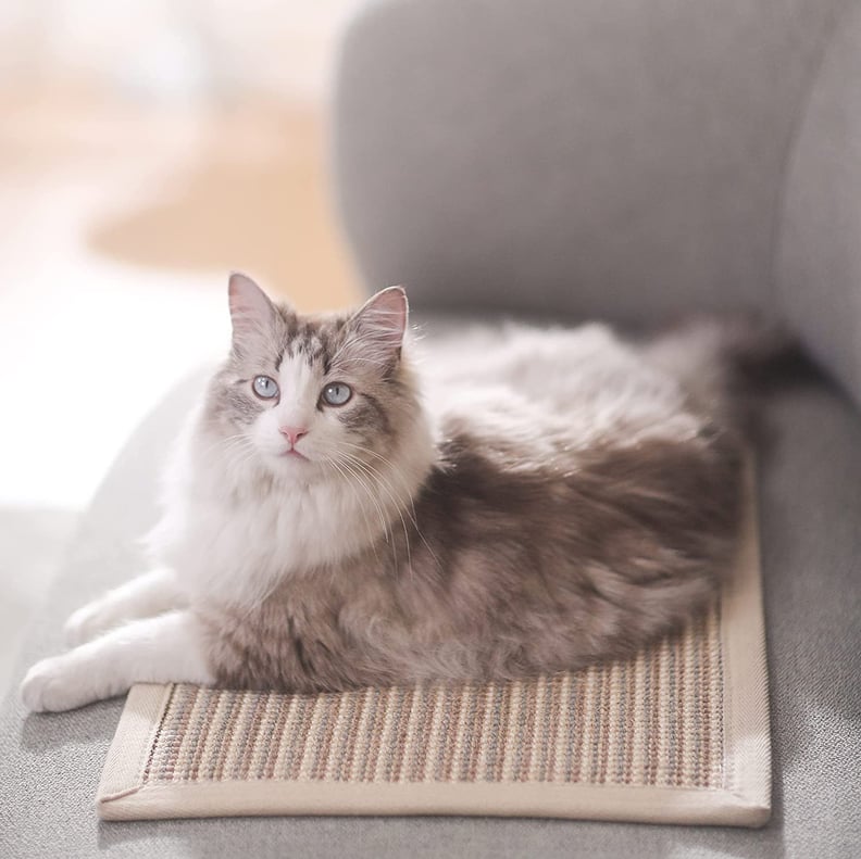 A Deal on a Scratch Mat