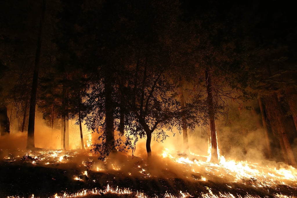 Sacramento Wildfire September 2014 | Pictures