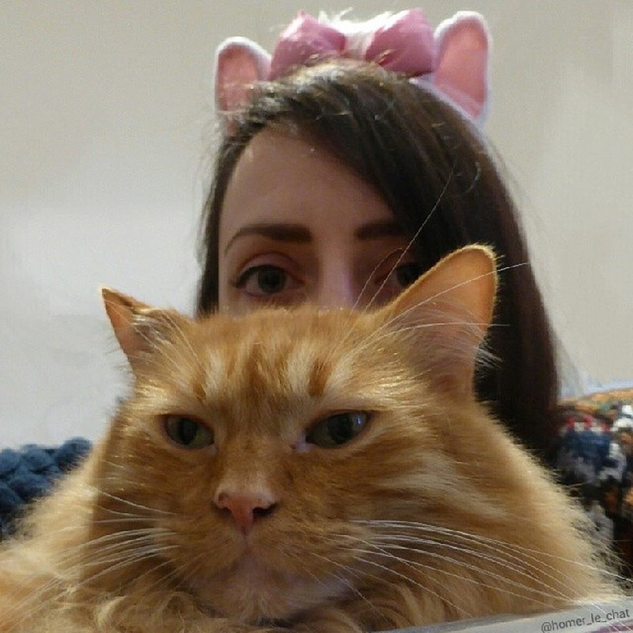 Cat Slang POPSUGAR Tech