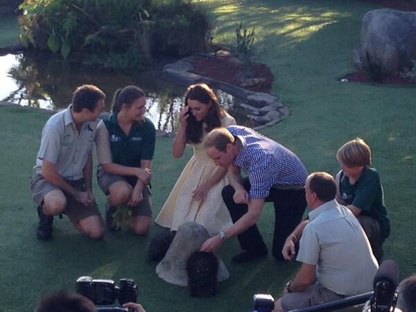 Kate and William looked at animals at the zoo.
Source: Twitter user byEmilyAndrews