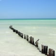 9 Reasons to Spend Your Next Mexican Vacation on Isla Holbox