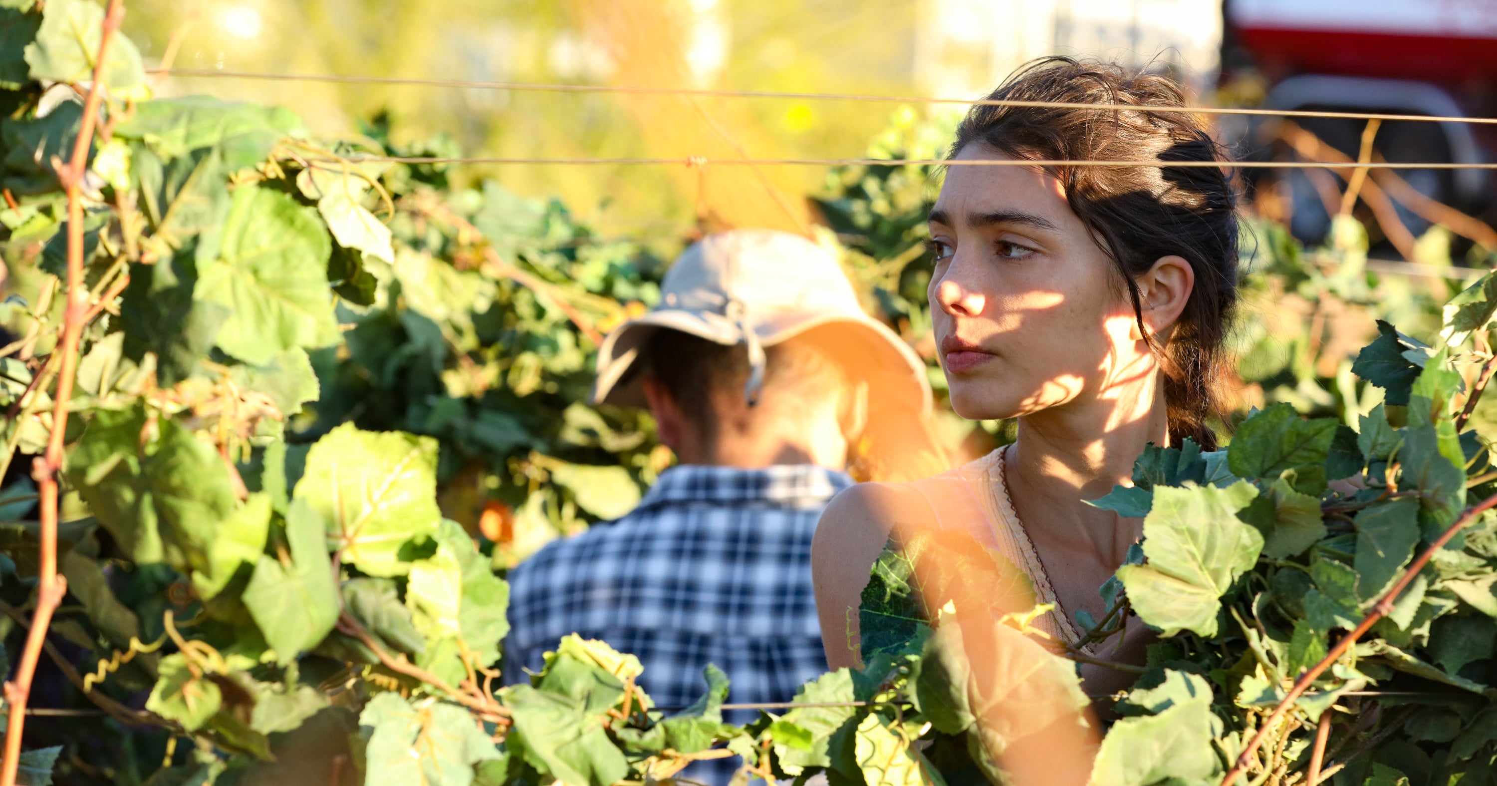 Hulu's "Promised Land" Touches on Latinx Farmworkers | POPSUGAR Latina