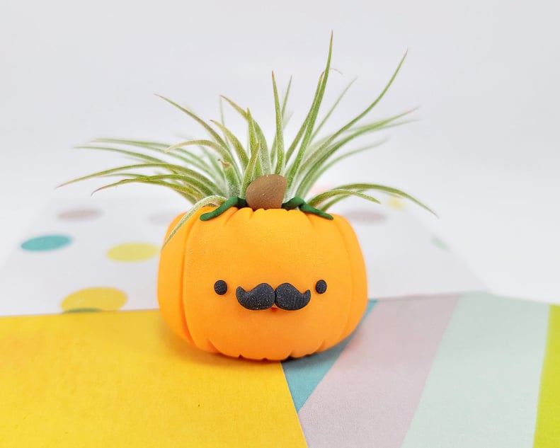 Pumpkin Mustache Air Plant Holder