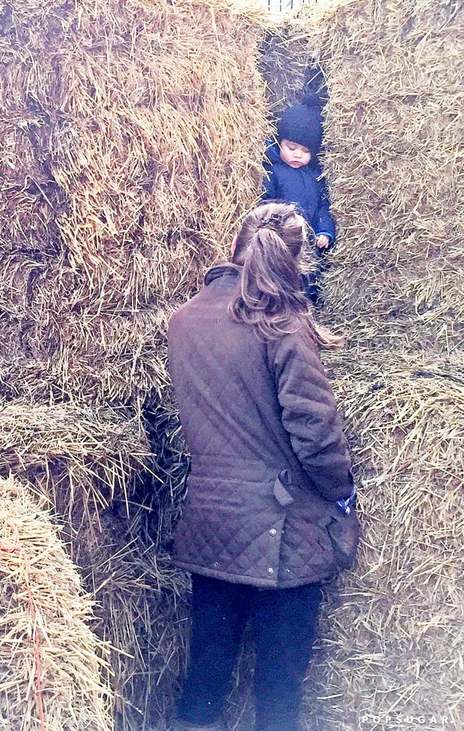 Kate Middleton and Prince George at the Petting Zoo Pictures