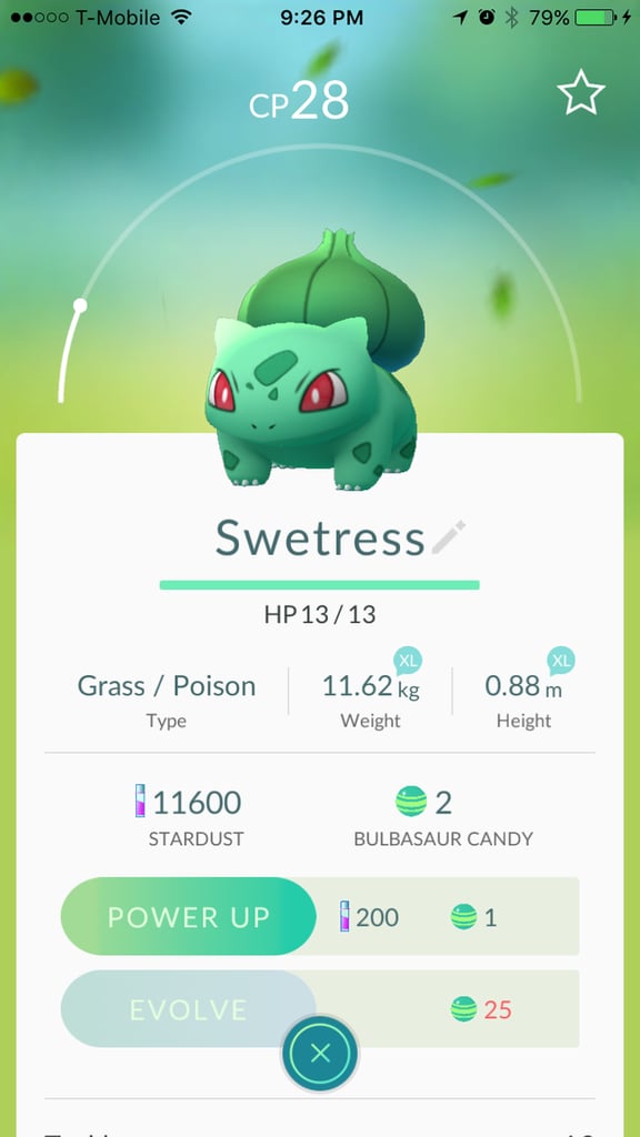Bulbasaur aka "Swetress"