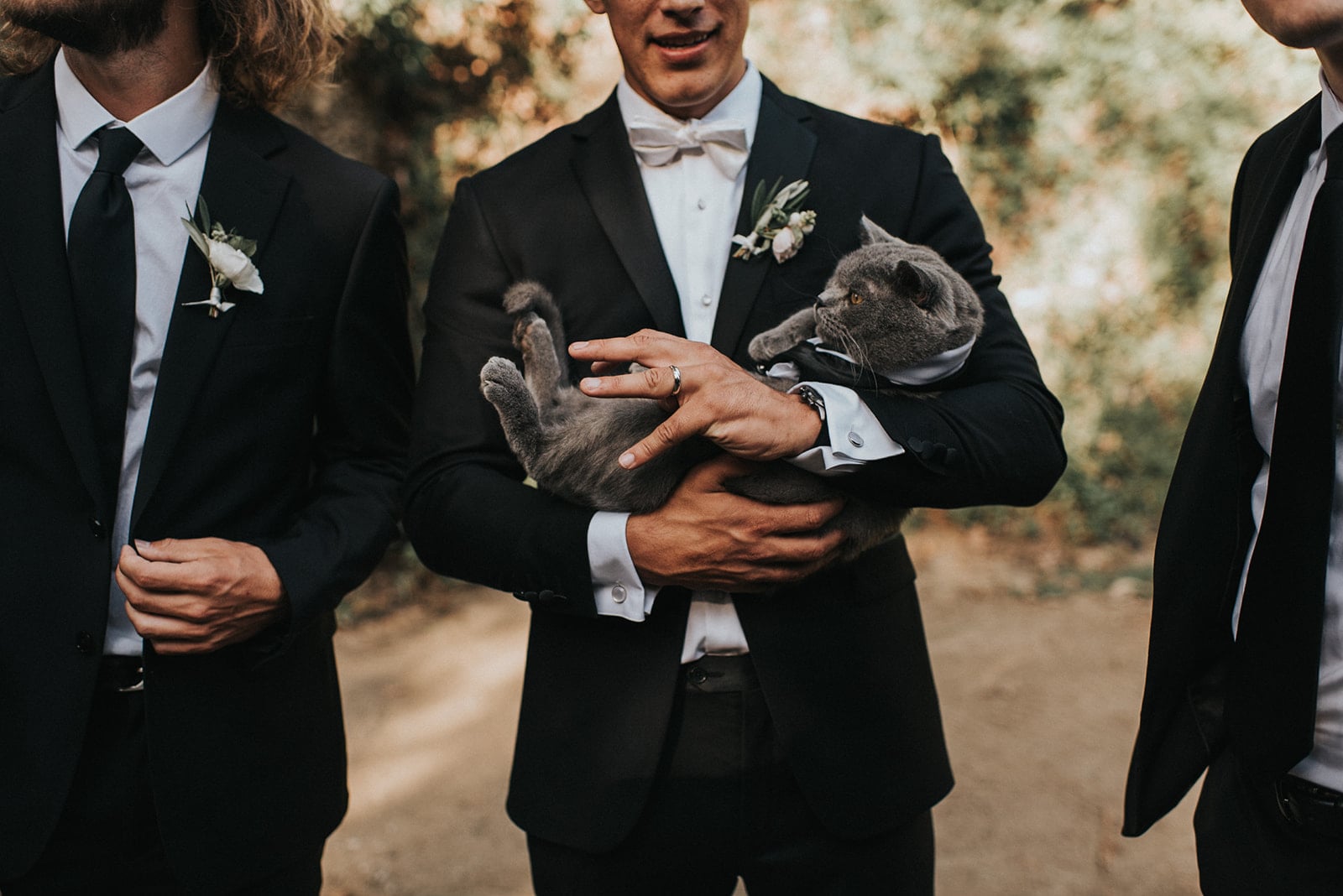 Baby Toddlers Kids Parenting A Cat Was The Best Man At His
