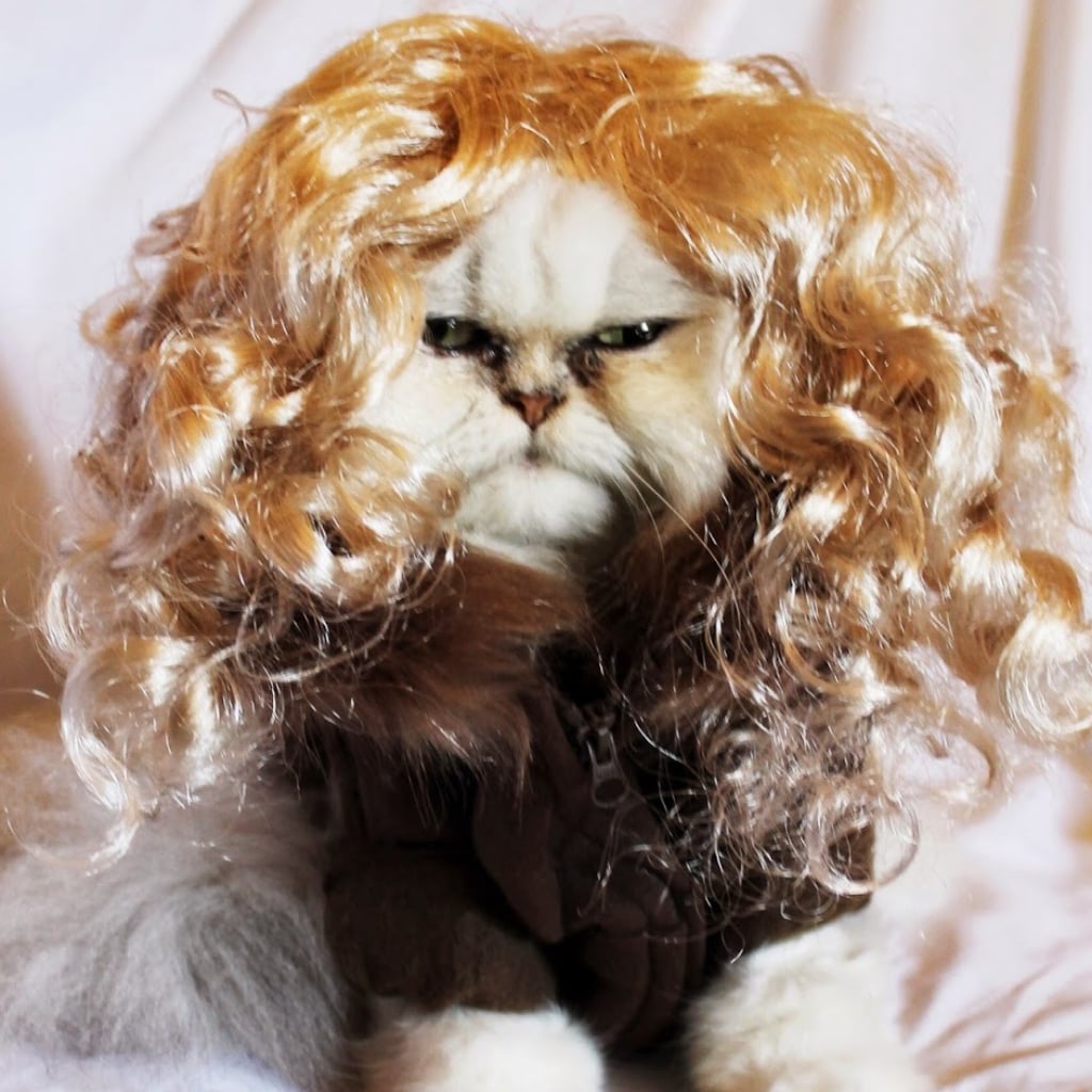 Cat Dressed as Orphan Black Clones