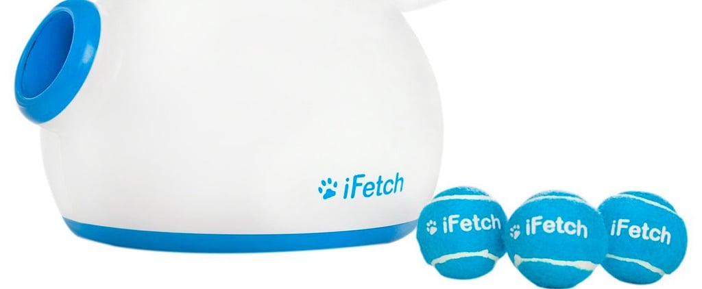 Tech Gifts For Pet Owners