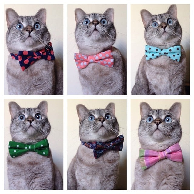"Help me choose my date-night look."