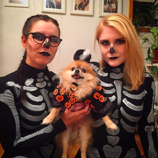 David S. Pumpkins Dog Costume