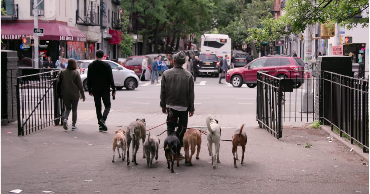 Netflix Dogs Documentary Trailer POPSUGAR Family Photo 8