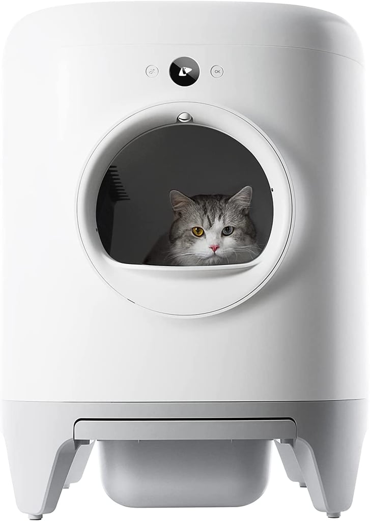 Self-Cleaning Cat Litter Box: PetKit Pura X Self-Cleaning Cat Litter Box