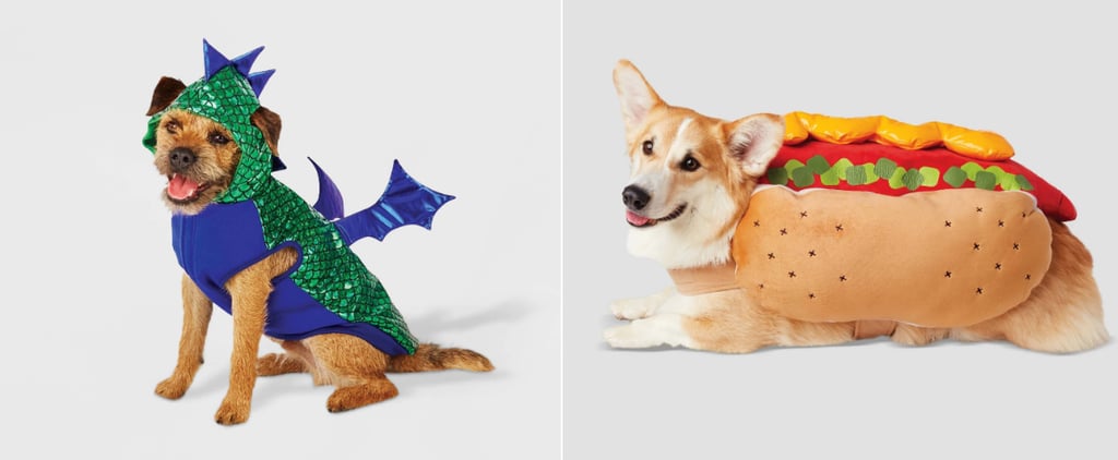 Best Dog Halloween Costumes at Target 2021
