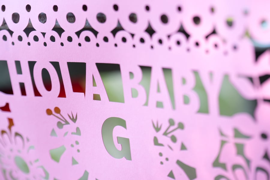 Baby Girl Sign