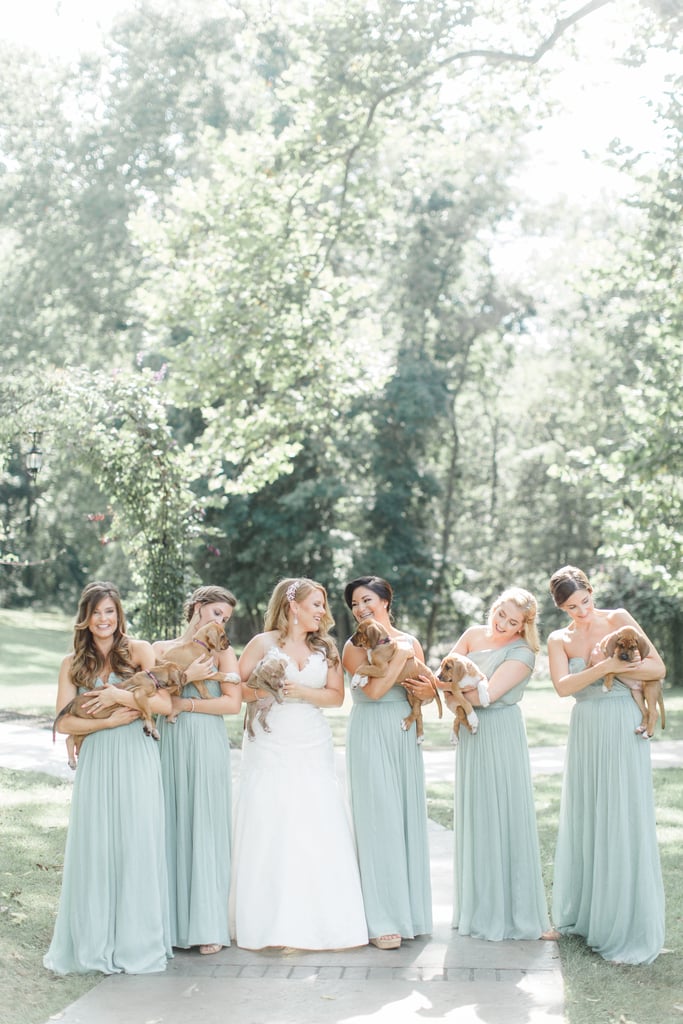 Bride Uses Puppies in Wedding Photos