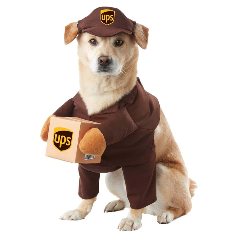 Best UPS Halloween Pet Costume