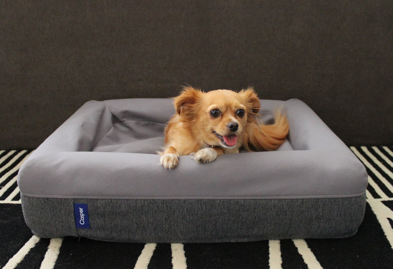 Casper Dog Bed Review POPSUGAR Pets