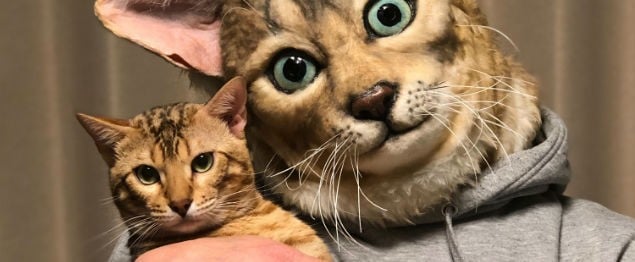 Wearable Cat Head