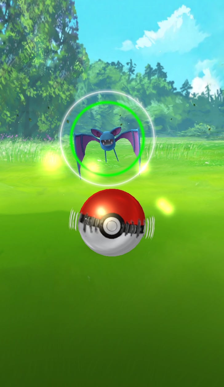 Spin the pokéball before you throw it. Pokemon Go Tips POPSUGAR