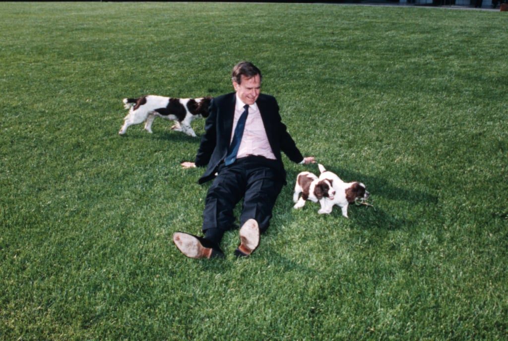 The Cutest Presidential Pets Through History