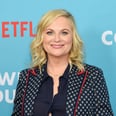 Amy Poehler Doesn’t Share Photos of Her 2 Sons, but Here's What We Do Know About Archie and Abel