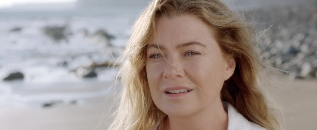 Grey's Anatomy Teases Another Big Character Return, and We Have a Theory