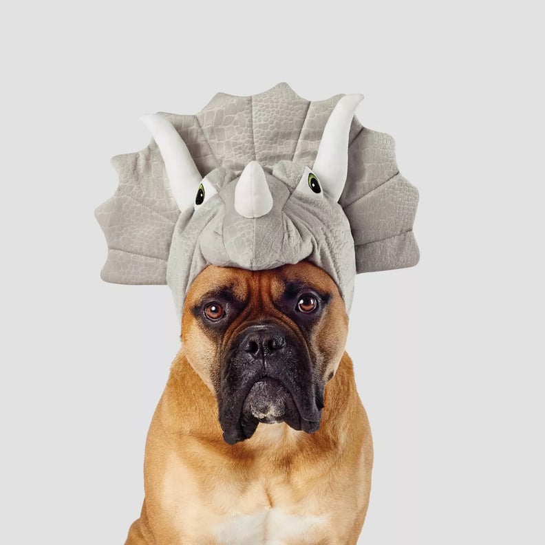 Triceratop Dog and Cat Costume
