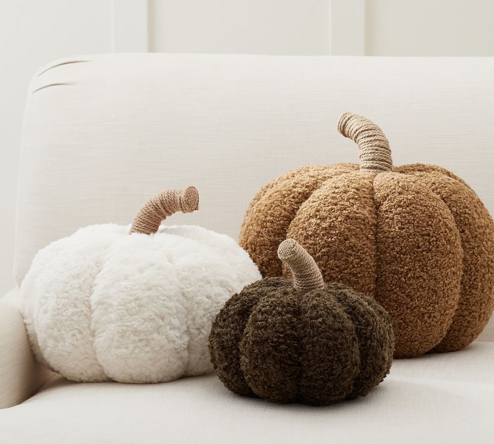 For a Cosy, Welcoming Home: Pottery Barn Cosy Pumpkin Pillow