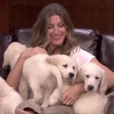 Who's Cuter: Gisele Bündchen and Tom Brady or Gisele Bündchen and These Puppies?