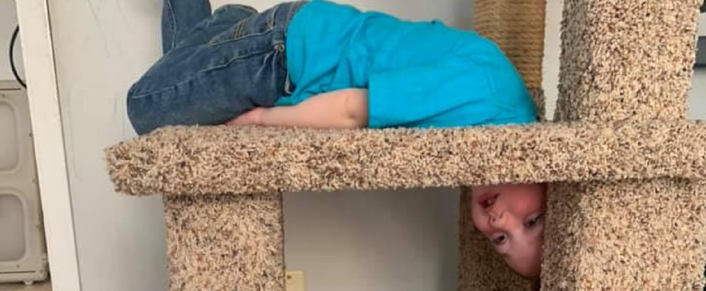 Boy Who Got His Head Stuck in a Cat Tree | Funny Photos