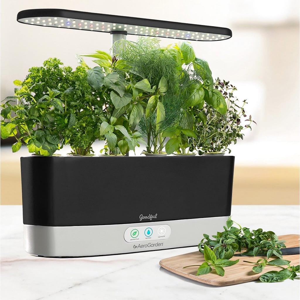 Martha Stewart Collection Apple Peeler Corer 22 Smart Kitchen Gadgets We Just Realized Were Missing From Our Lives Popsugar Food Photo 2