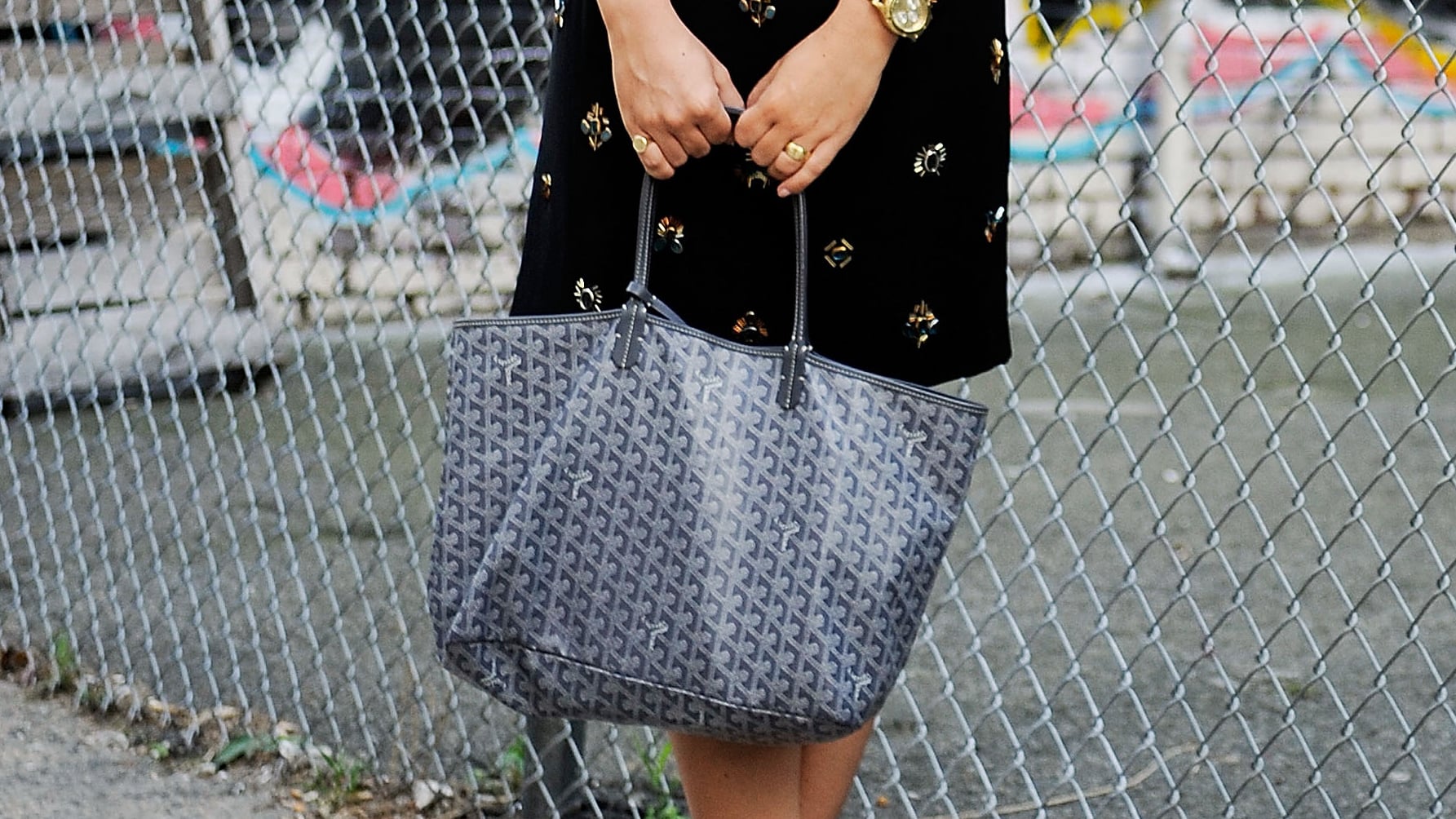 POPSUGAR  Goyard bag, Bags, Goyard