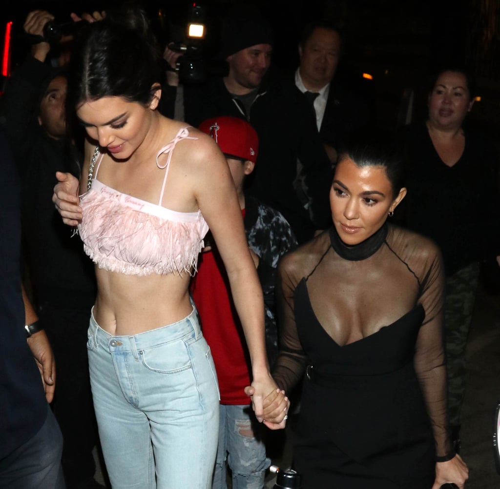 Kendall Jenner's Pink Feather Crop Top