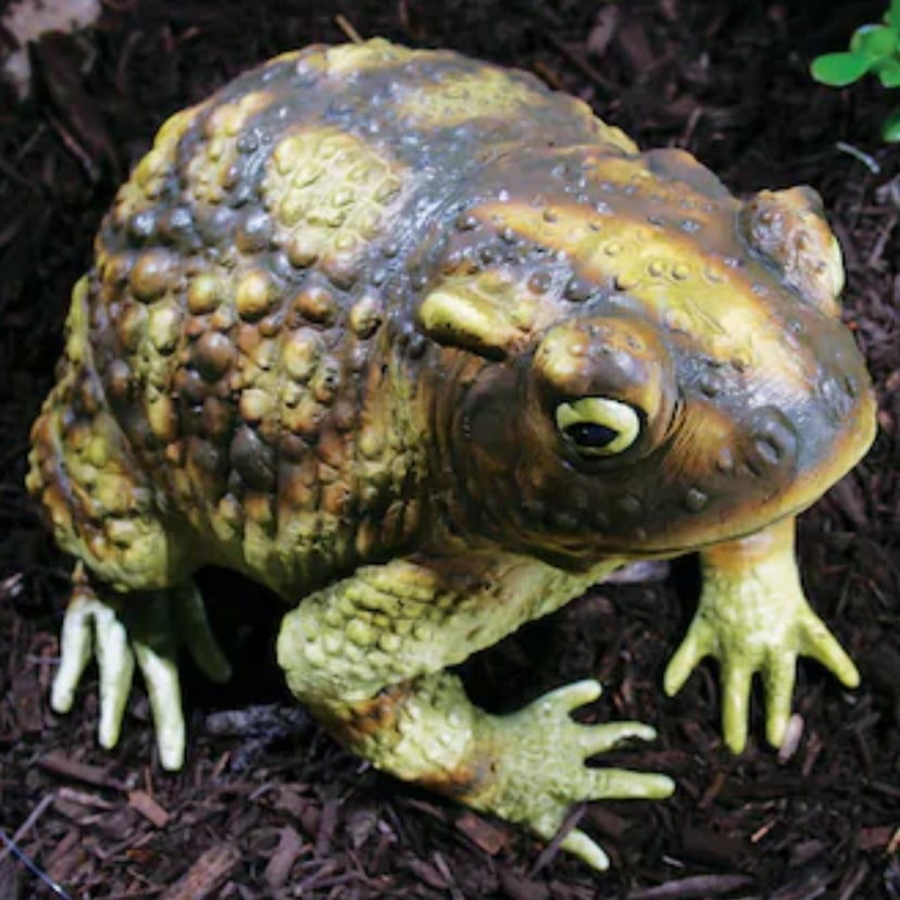 Frog Tote Bag, My Toad Bag
