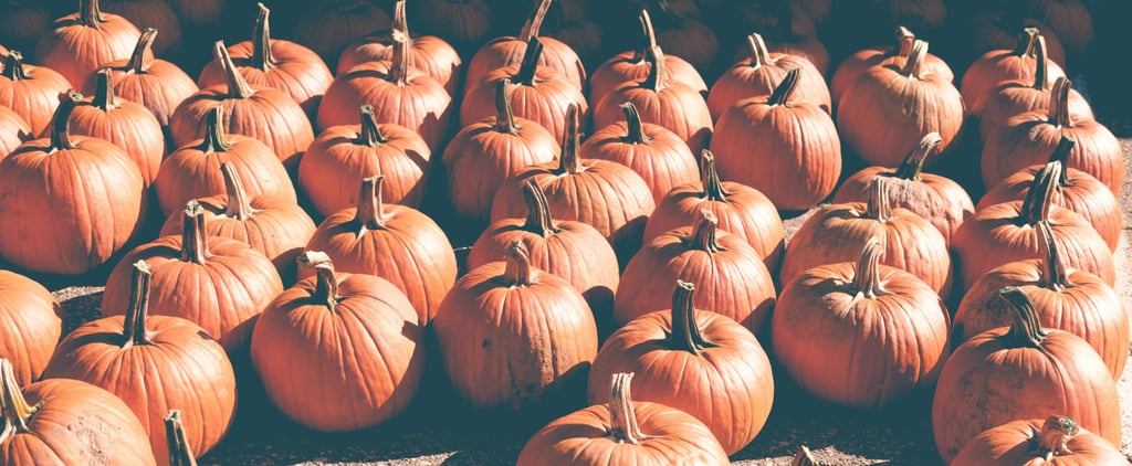 Tweets About Pumpkin Spice Flavor