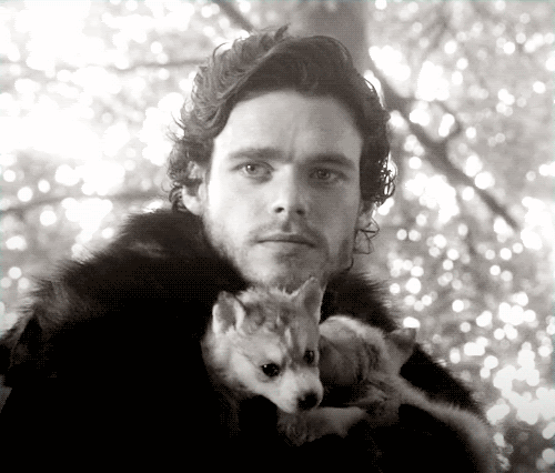 The Stark Children Adopt a Whole Bunch of Fluffy Direwolves