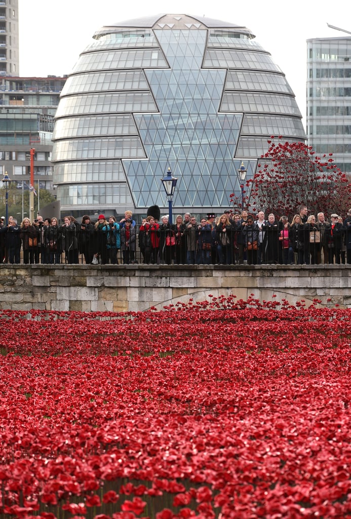 Veterans Day 2014 | Pictures