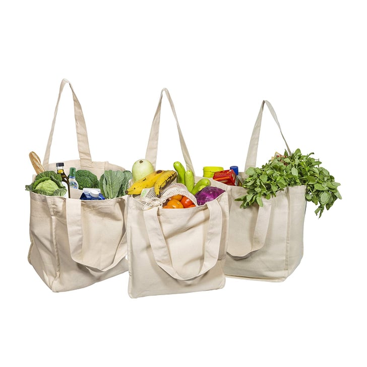 Best Canvas Grocery Shopping Bags | What to Bring on a Road Trip ...