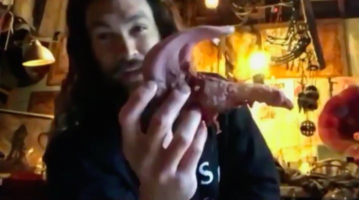 Watch Jason Momoa Give Ellen a Tour of His Home's Man Cave