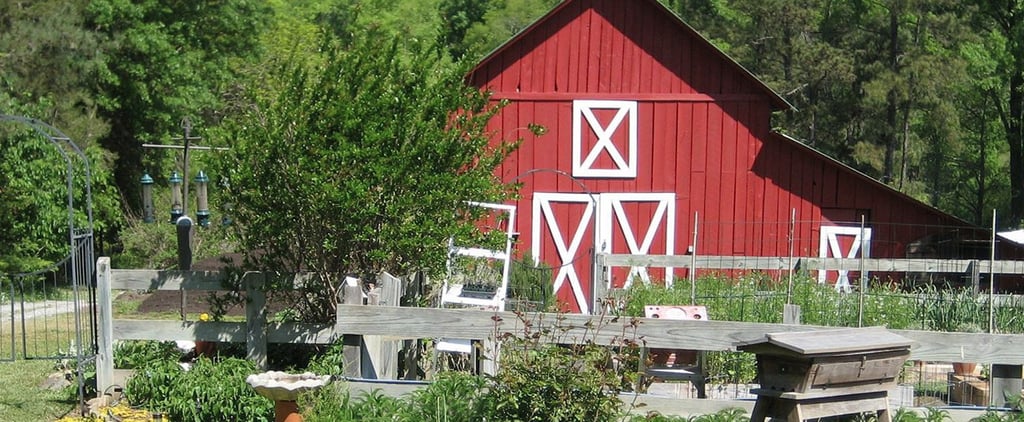 Win a Farm With an Essay | Video