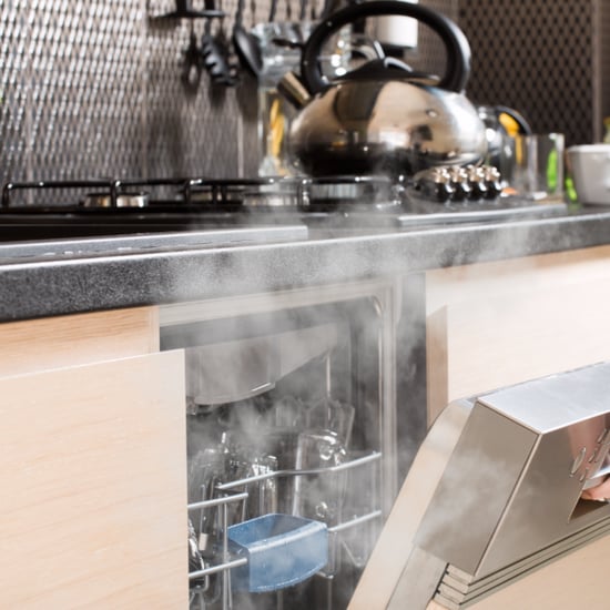 Foods You Can Cook in a Dishwasher