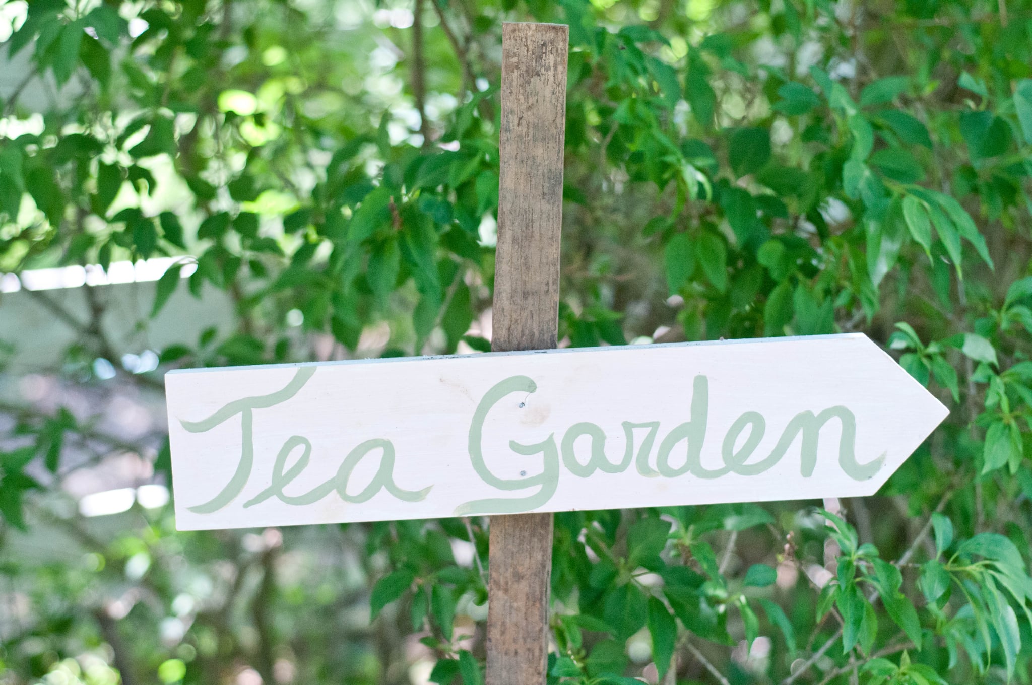 Love Sex Kelly And Will S Captivating Countryside Wedding