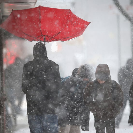 Winter Storm Pax 2014 | Pictures