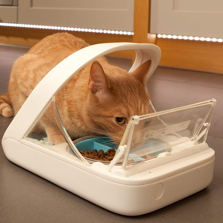 SureFeed Microchip Pet Feeder Best Pet Products on Amazon POPSUGAR