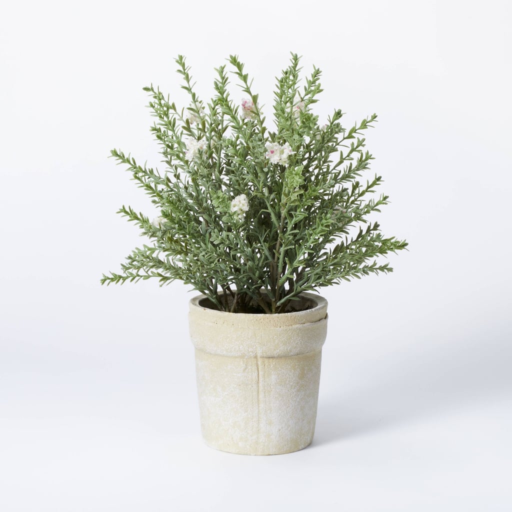 A Potted Thyme: Threshold Designed With Studio McGee Flowering Thyme