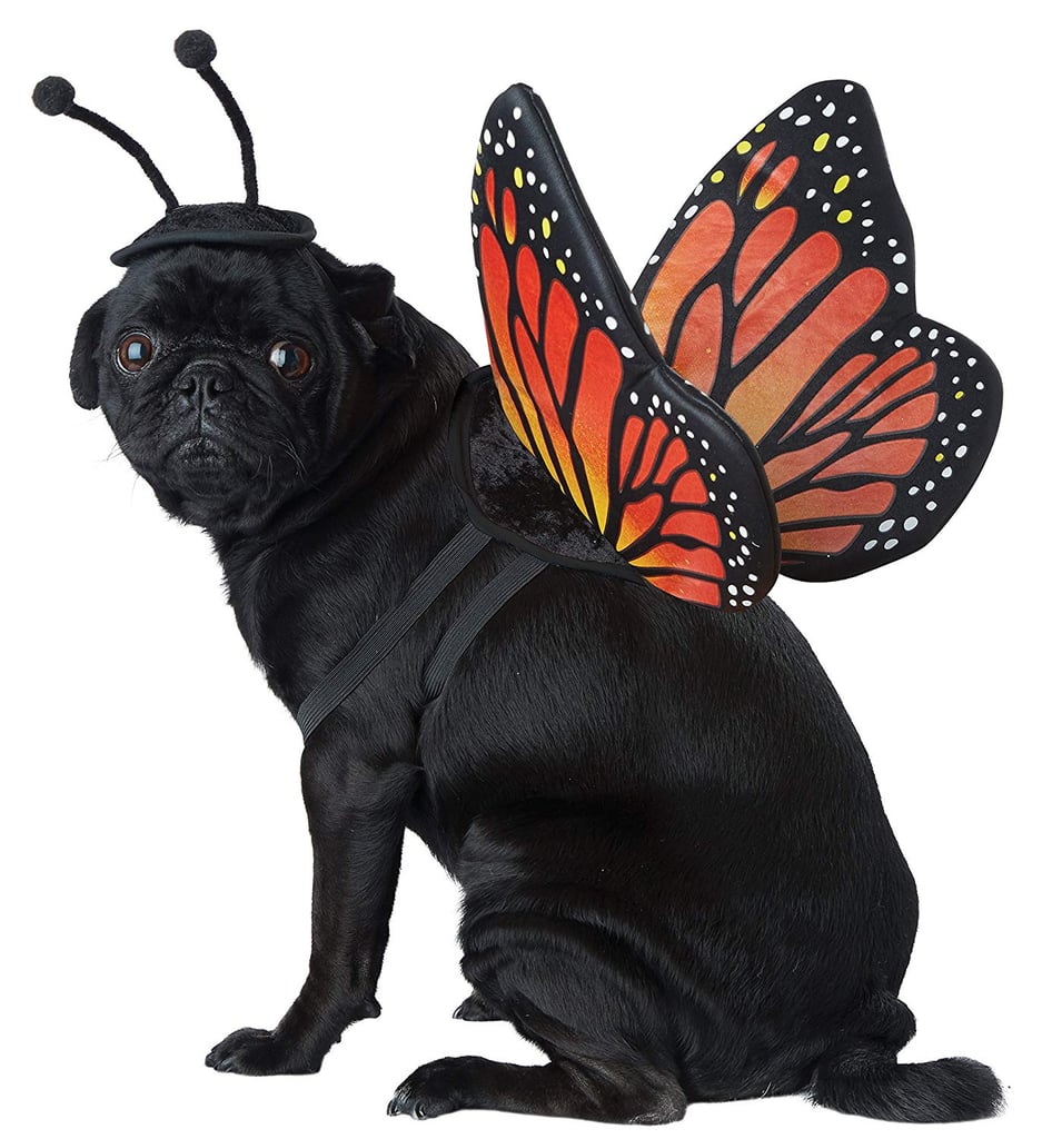 Monarch Butterfly Dog Costume