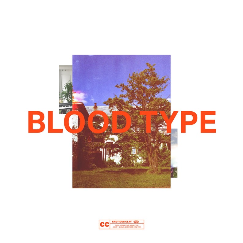 Blood Type by Cautious Clay