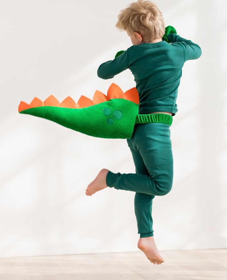 Hanna Andersson Bold Bounding Dino Costume