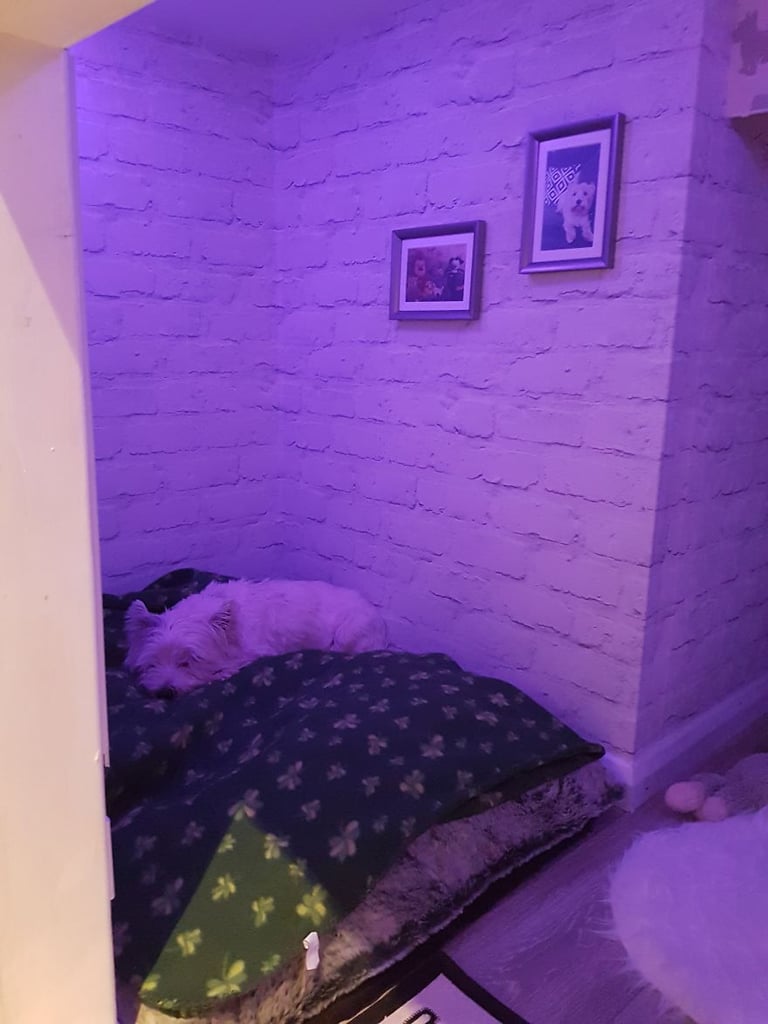 Dad Turns Stairwell Nook Into Room For Dog