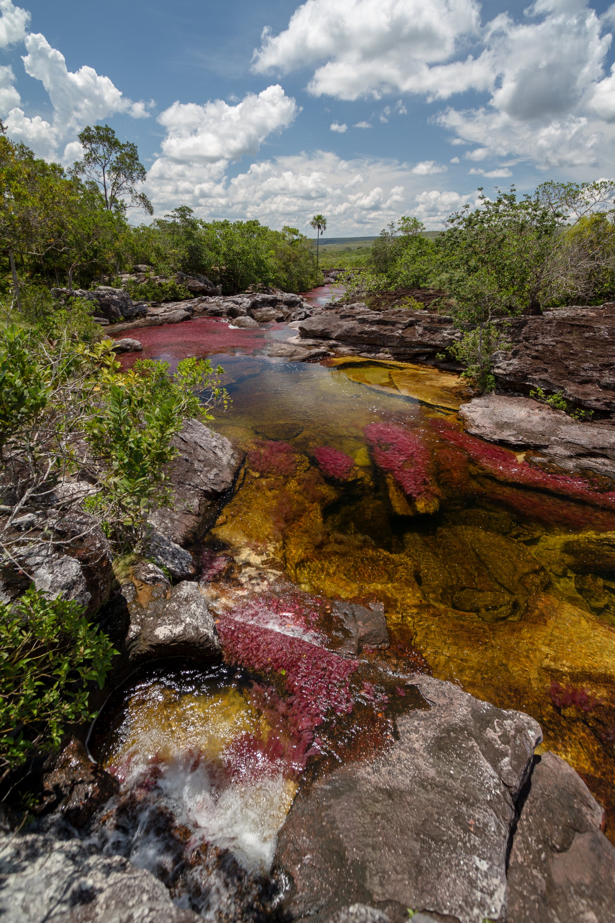 Cano Cristales Colombia 83 Of The Most Beautiful Bucket List Destinations Around The World Popsugar Smart Living Photo 73